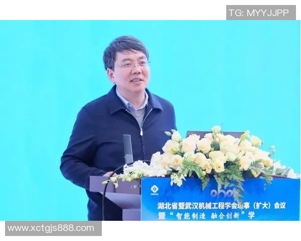 武汉羽毛球队转型之路探析与未来发展展望