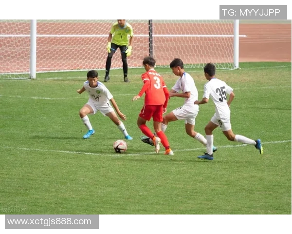 探讨重庆网球队个人能力与欧冠足球的关联与启示