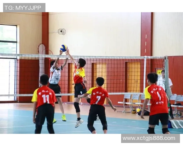 重庆排球队心理素质排名第五展现团队精神与竞技实力