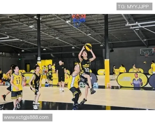 杭州篮球队在联合会杯中的拼搏历程与荣耀时刻全景回顾