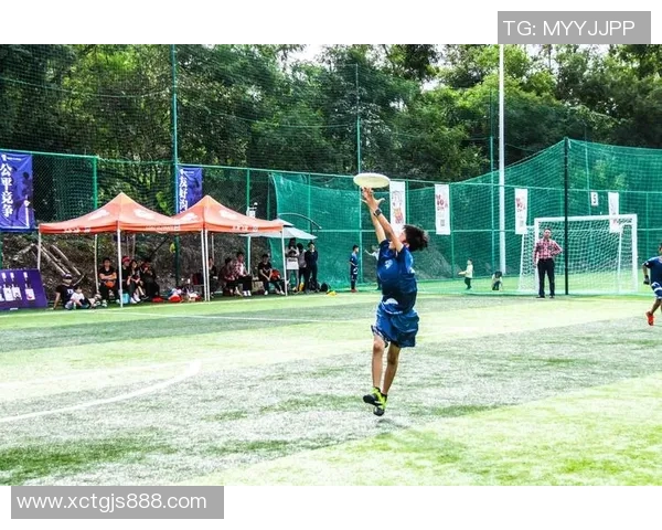 实时新闻南京飞盘队战术揭秘深度解析阵地战的技巧与策略